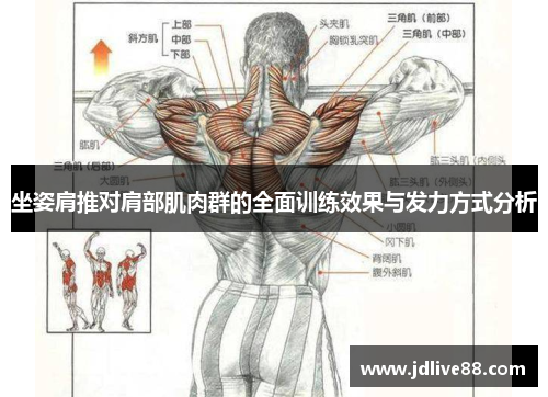 坐姿肩推对肩部肌肉群的全面训练效果与发力方式分析