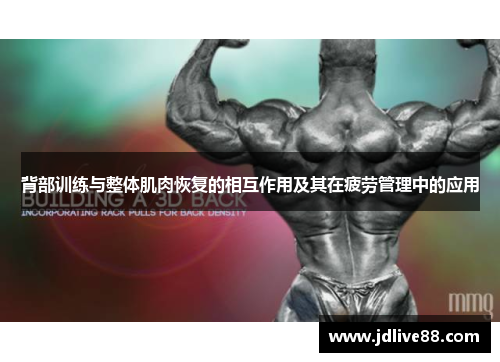 背部训练与整体肌肉恢复的相互作用及其在疲劳管理中的应用