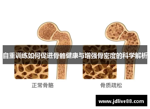 自重训练如何促进骨骼健康与增强骨密度的科学解析